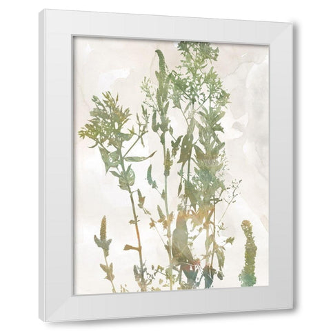 Untamed Garden I White Modern Wood Framed Art Print by Robinson, Carol
