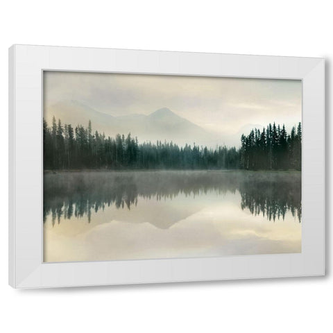 Jade Reflection White Modern Wood Framed Art Print by Delimont, Danita