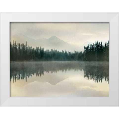 Jade Reflection White Modern Wood Framed Art Print by Delimont, Danita