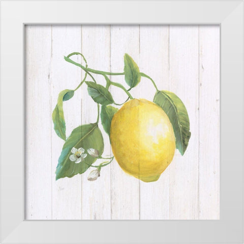 Lemon Fresh I White Modern Wood Framed Art Print by Nan