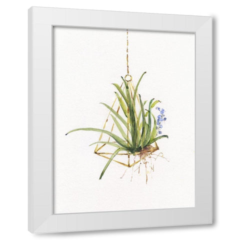 Gardenaire II White Modern Wood Framed Art Print by Swatland, Sally