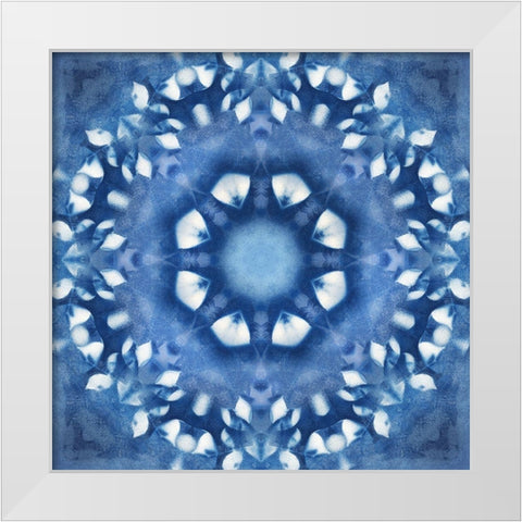 Navy Nature Kaleidoscope III White Modern Wood Framed Art Print by Nan