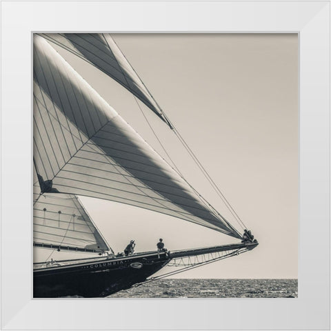 Catching the Sea Breeze White Modern Wood Framed Art Print by Delimont, Danita