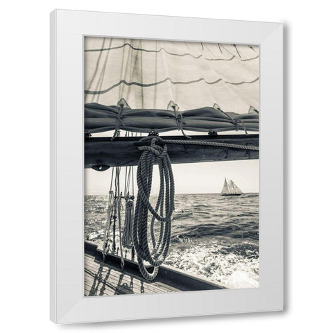 Day at the Cape White Modern Wood Framed Art Print by Delimont, Danita