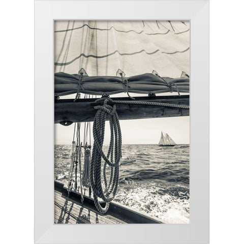 Day at the Cape White Modern Wood Framed Art Print by Delimont, Danita