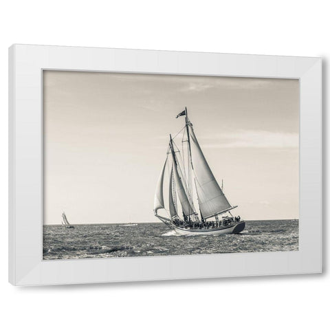 Ocean Schooner White Modern Wood Framed Art Print by Delimont, Danita