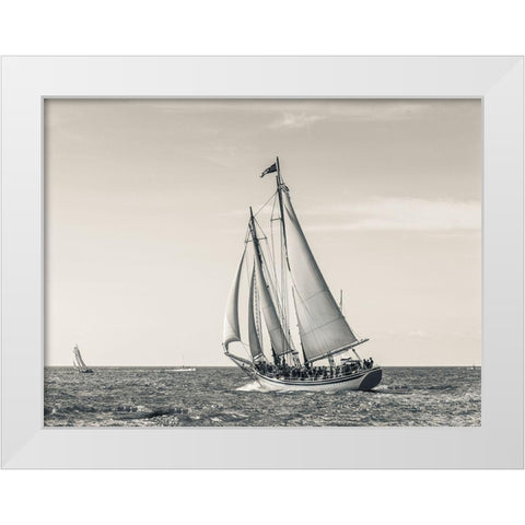 Ocean Schooner White Modern Wood Framed Art Print by Delimont, Danita