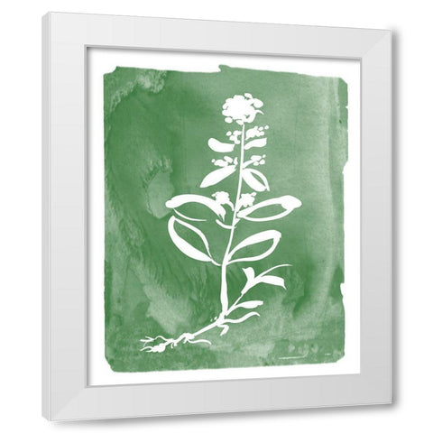 Green Botanical III White Modern Wood Framed Art Print by Donovan, Kelly