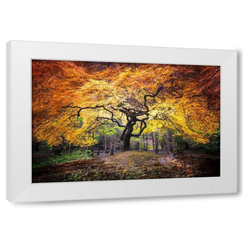 Hidden Jewel White Modern Wood Framed Art Print by Delimont, Danita