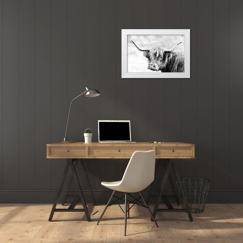Hairy Highland Hazy Day White Modern Wood Framed Art Print by Delimont, Danita
