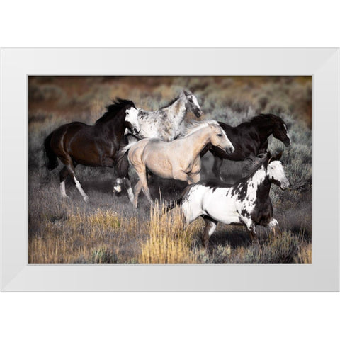 High Prairie Run White Modern Wood Framed Art Print by Delimont, Danita