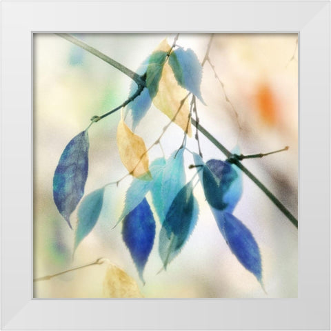 Colors for Joy I White Modern Wood Framed Art Print by Weisz, Irene