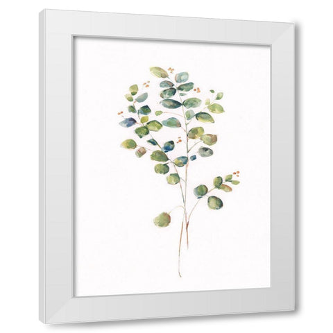 Eucalyptus I White Modern Wood Framed Art Print by Swatland, Sally