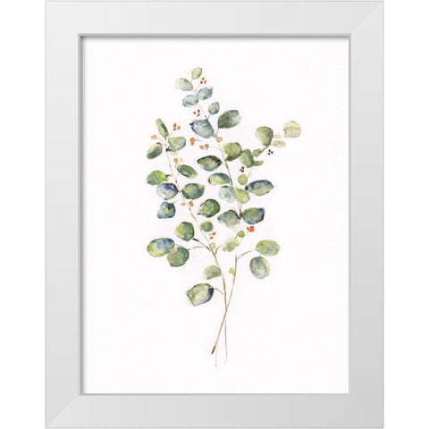 Eucalyptus II White Modern Wood Framed Art Print by Swatland, Sally