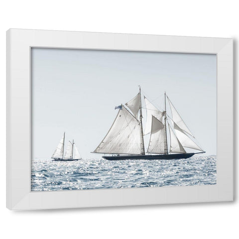 Cape Ann Sails White Modern Wood Framed Art Print by Delimont, Danita