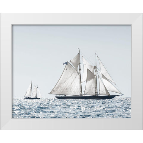 Cape Ann Sails White Modern Wood Framed Art Print by Delimont, Danita