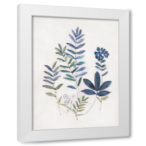 Fern Study II White Modern Wood Framed Art Print by Swatland, Sally