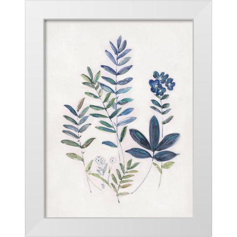 Fern Study II White Modern Wood Framed Art Print by Swatland, Sally