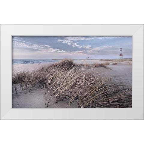 Winter Wind White Modern Wood Framed Art Print by Calascibetta, Mike