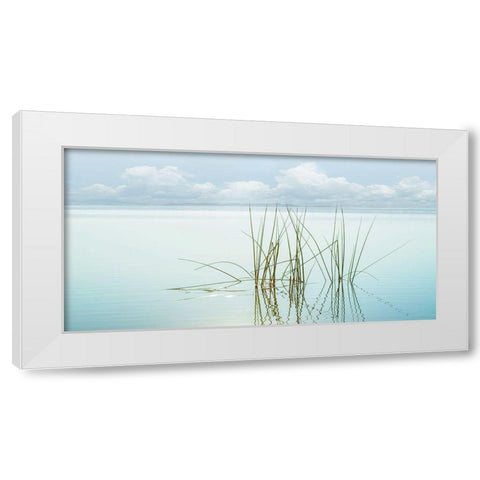 Reflections White Modern Wood Framed Art Print by Calascibetta, Mike