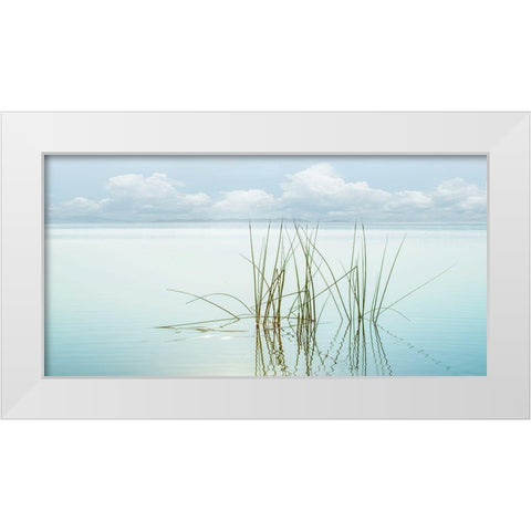 Reflections White Modern Wood Framed Art Print by Calascibetta, Mike