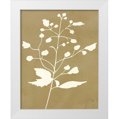 Honey Botanical II White Modern Wood Framed Art Print by Jill, Susan