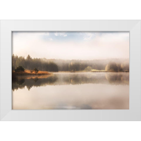 Cosy Nature White Modern Wood Framed Art Print by Weisz, Irene