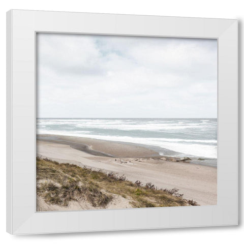 Windswept White Modern Wood Framed Art Print by Delimont, Danita