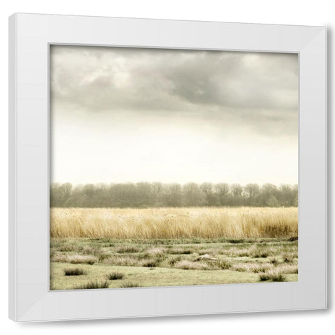 Meadowland White Modern Wood Framed Art Print by Delimont, Danita
