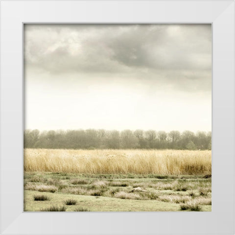 Meadowland White Modern Wood Framed Art Print by Delimont, Danita