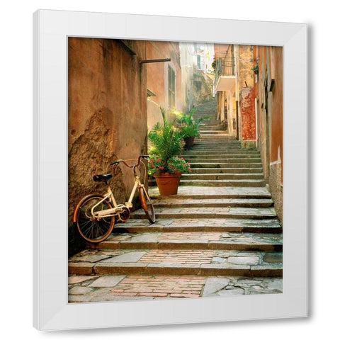 Cinque Terre White Modern Wood Framed Art Print by Delimont, Danita