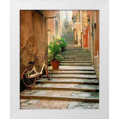 Cinque Terre White Modern Wood Framed Art Print by Delimont, Danita