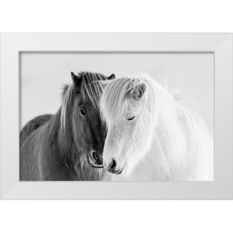 South Iceland White Modern Wood Framed Art Print by Delimont, Danita
