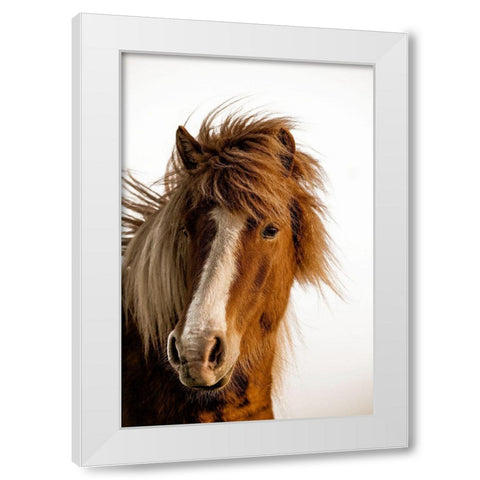 Sunset Light White Modern Wood Framed Art Print by Delimont, Danita