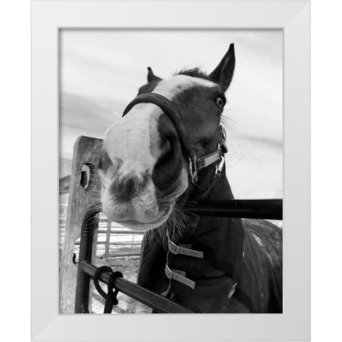 Argenteuil White Modern Wood Framed Art Print by Jill, Susan