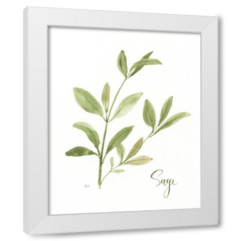 Herb Sage White Modern Wood Framed Art Print by Nan