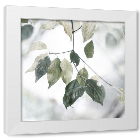 Quiet Green I White Modern Wood Framed Art Print by Weisz, Irene
