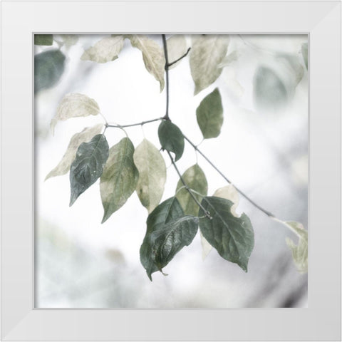 Quiet Green I White Modern Wood Framed Art Print by Weisz, Irene