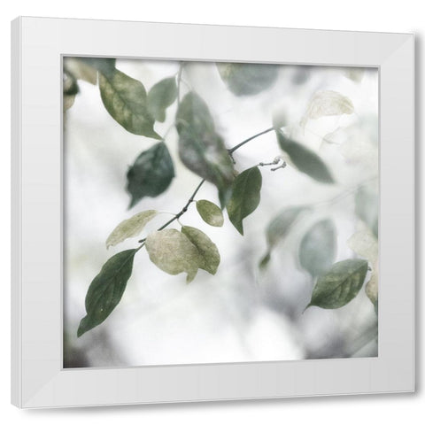 Quiet Green II White Modern Wood Framed Art Print by Weisz, Irene