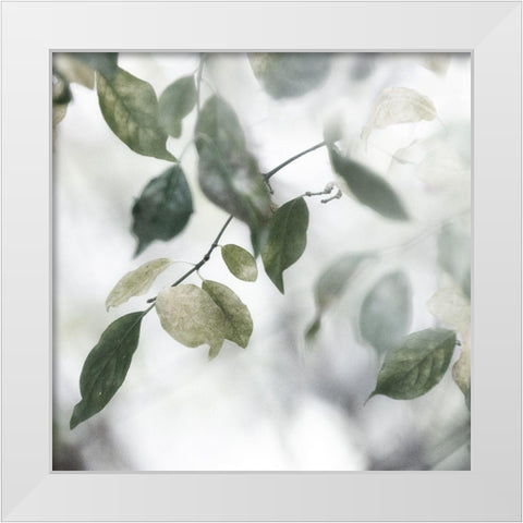 Quiet Green II White Modern Wood Framed Art Print by Weisz, Irene