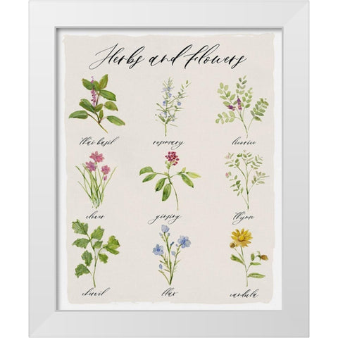 Herbs and Flowers White Modern Wood Framed Art Print by Swatland, Sally