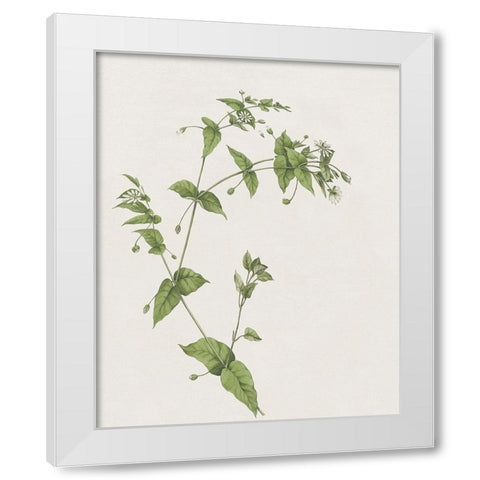 Wispy Botanical I White Modern Wood Framed Art Print by Donovan, Kelly