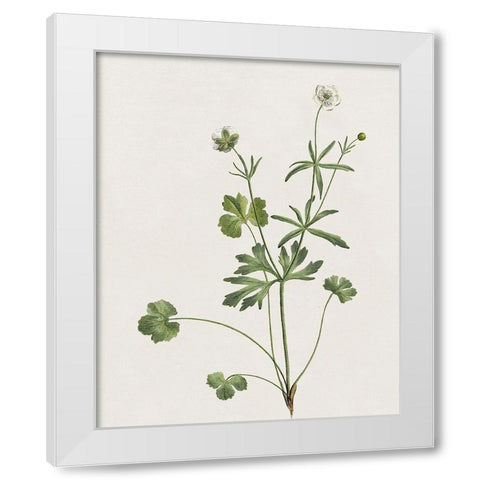 Wispy Botanical II White Modern Wood Framed Art Print by Donovan, Kelly