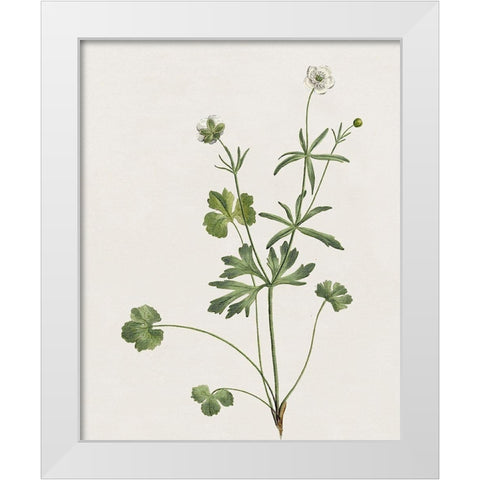 Wispy Botanical II White Modern Wood Framed Art Print by Donovan, Kelly