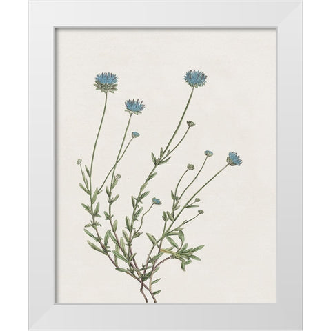 Blue Wispy I White Modern Wood Framed Art Print by Donovan, Kelly