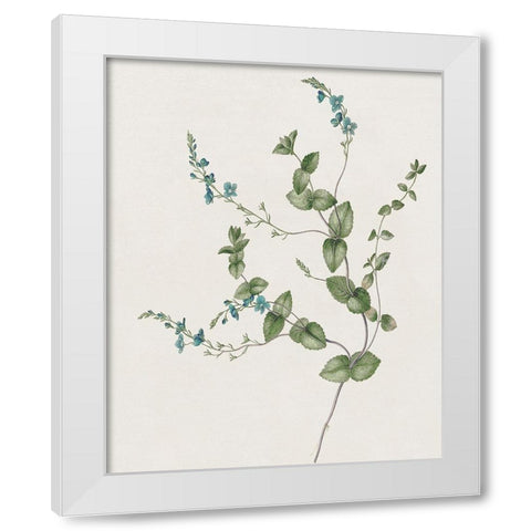 Blue Wispy II White Modern Wood Framed Art Print by Donovan, Kelly
