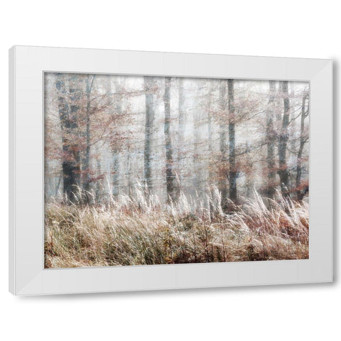 Always Magic in the Woods White Modern Wood Framed Art Print by Weisz, Irene