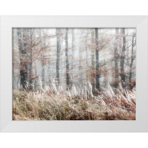 Always Magic in the Woods White Modern Wood Framed Art Print by Weisz, Irene