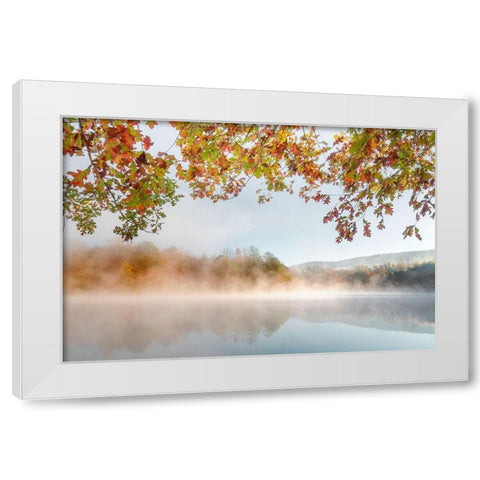Autumn Misty White Modern Wood Framed Art Print by Delimont, Danita