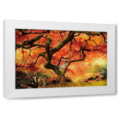 Autumn Symphony White Modern Wood Framed Art Print by Delimont, Danita